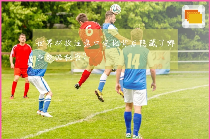 世界杯投注盘口变化背后隐藏了哪些数据秘密？