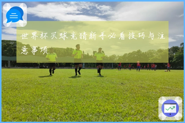 世界杯买球竞猜新手必看技巧与注意事项