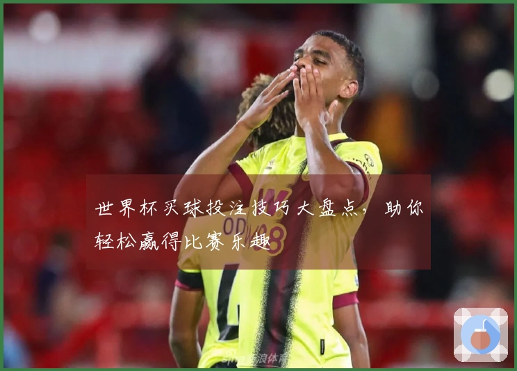 世界杯买球投注技巧大盘点，助你轻松赢得比赛乐趣