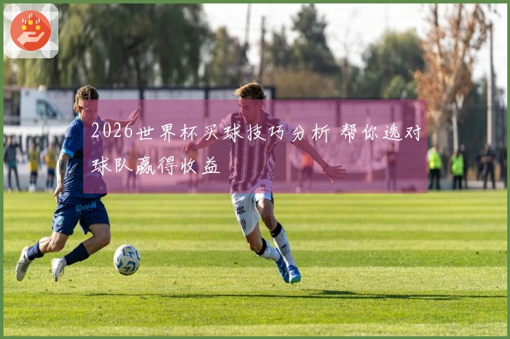 2026世界杯买球技巧分析 帮你选对球队赢得收益