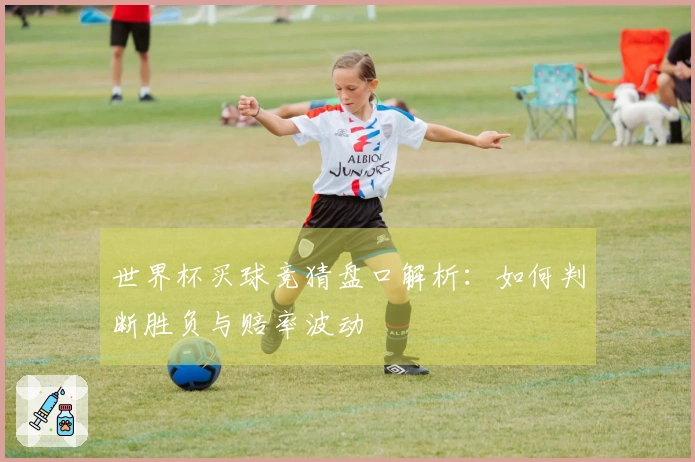 世界杯买球竞猜盘口解析：如何判断胜负与赔率波动