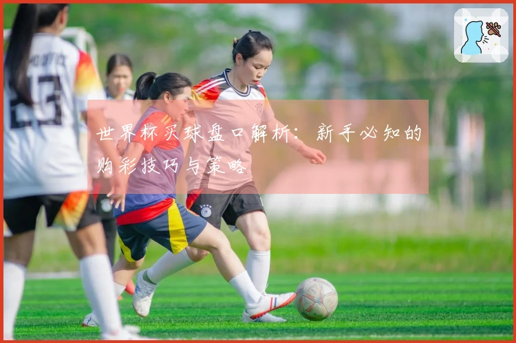 世界杯买球盘口解析：新手必知的购彩技巧与策略