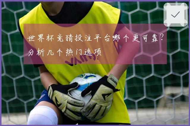 世界杯竞猜投注平台哪个更可靠？分析几个热门选项