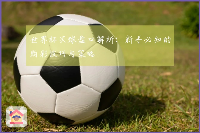 世界杯买球盘口解析：新手必知的购彩技巧与策略