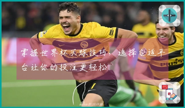 掌握世界杯买球技巧，选择合适平台让你的投注更轻松