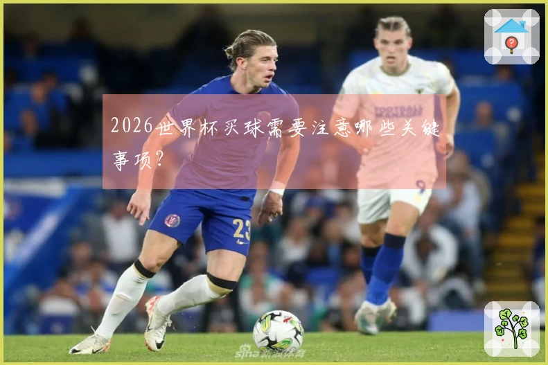 2026世界杯买球需要注意哪些关键事项？