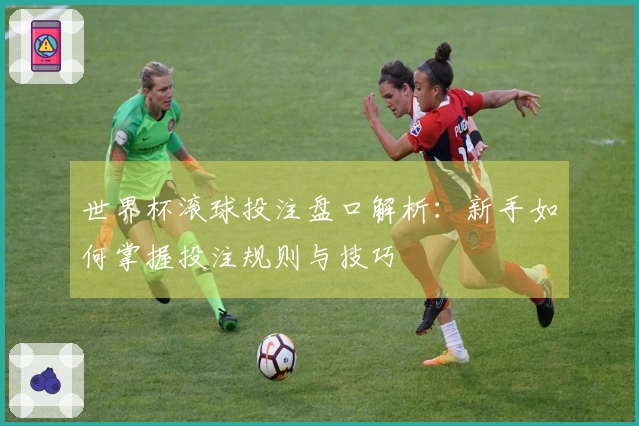 世界杯滚球投注盘口解析：新手如何掌握投注规则与技巧