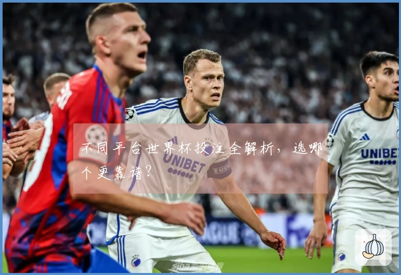 不同平台世界杯投注全解析，选哪个更靠谱？