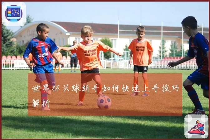 世界杯买球新手如何快速上手技巧解析