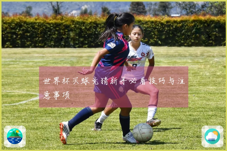 世界杯买球竞猜新手必看技巧与注意事项