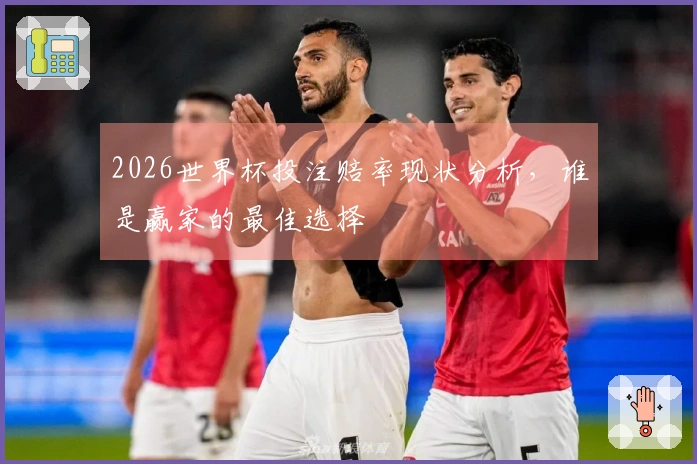 2026世界杯投注赔率现状分析，谁是赢家的最佳选择