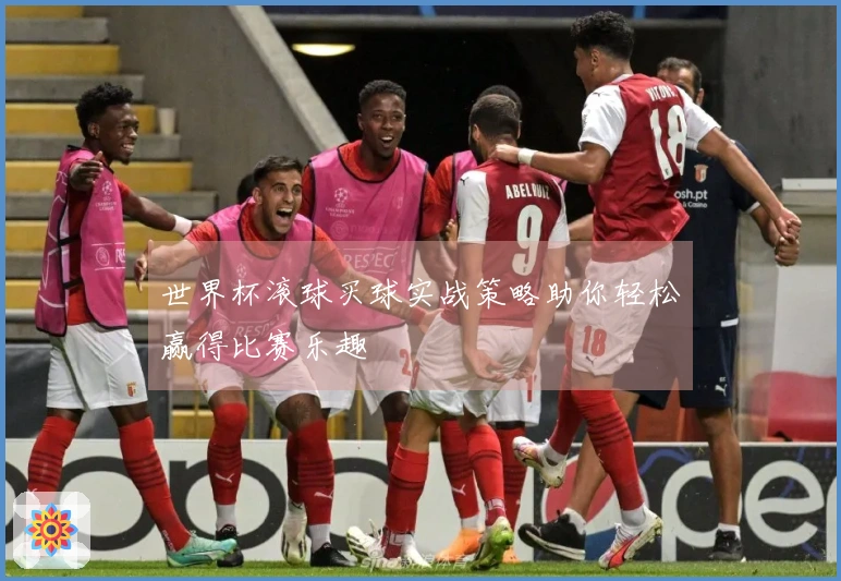 世界杯滚球买球实战策略助你轻松赢得比赛乐趣