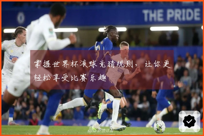 掌握世界杯滚球竞猜规则，让你更轻松享受比赛乐趣