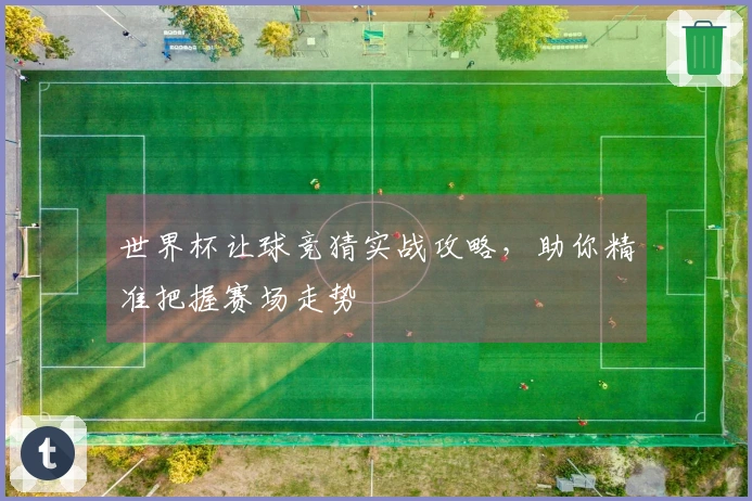 世界杯让球竞猜实战攻略，助你精准把握赛场走势